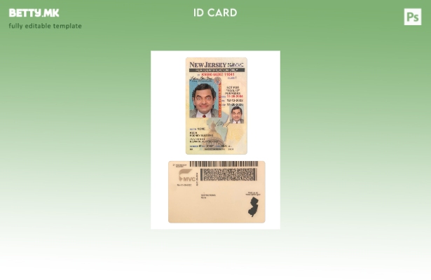 модерен стил САД Њу Џерси под шаблон за лична карта